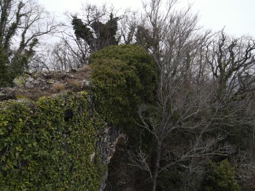 Château de Turluron [22-01-2022](0397).jpg